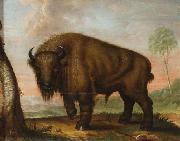 unknow artist Wisent Germany oil painting artist